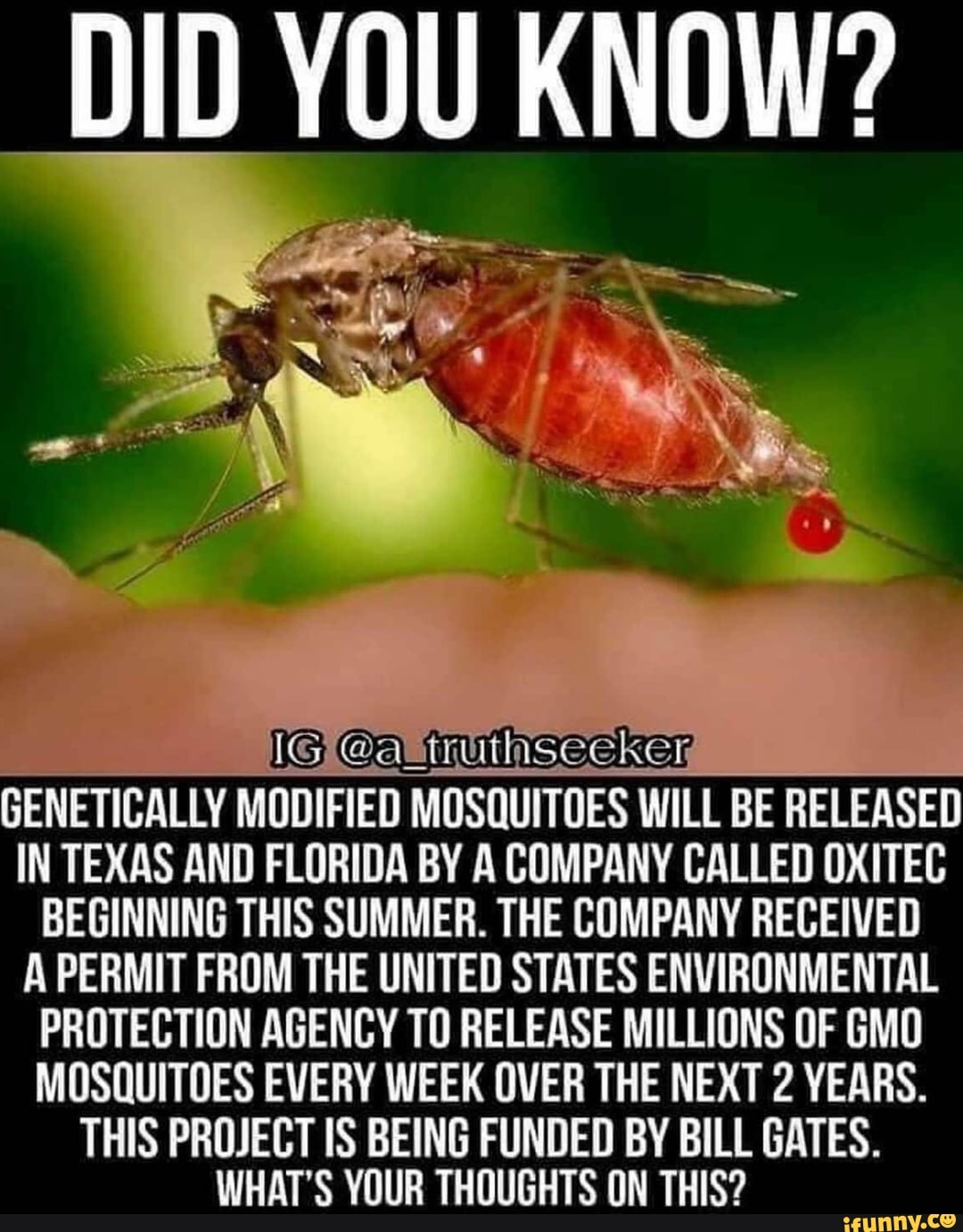 DID YOU KNOW GENETICALLY MODIFIED MOSQUITOES WILL BE RELEASED IN TEXAS   9a25b4c02076d3cc71973fbe28f1a324fcd6893a36fc8c155291342efd3a3d8b 1 