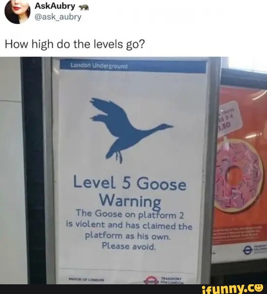 askaubry-cask-aubry-how-high-do-the-levels-go-level-5-goose-warnin