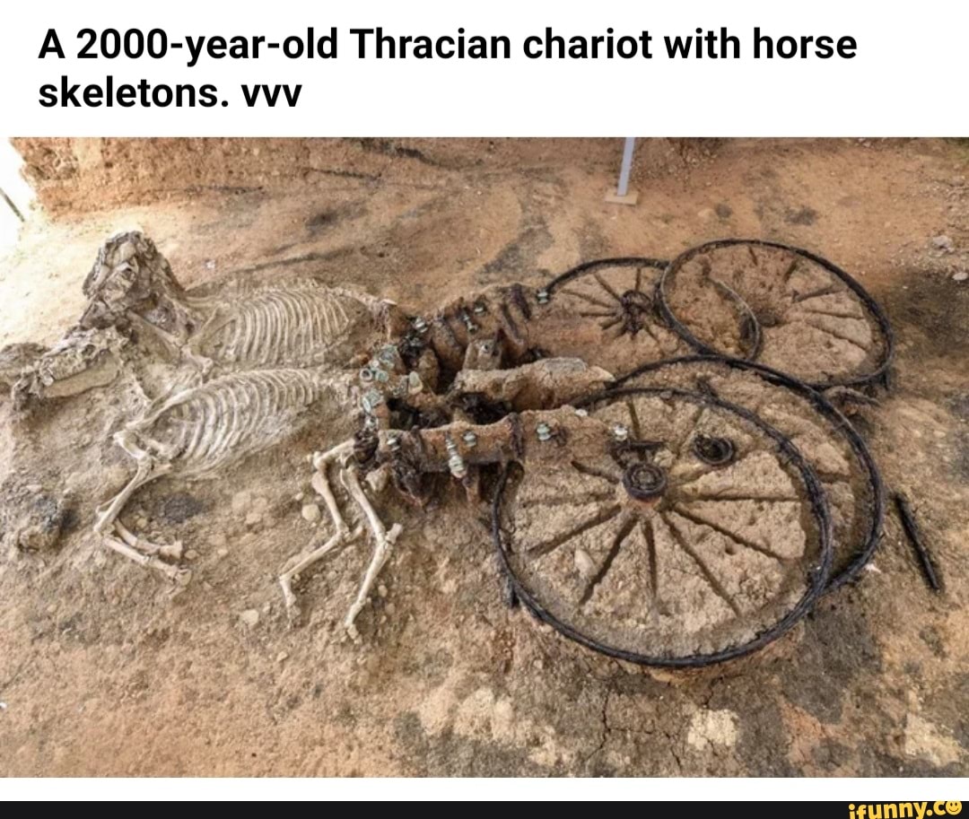 A 2000-year-old Thracian chariot with horse skeletons. wy
if