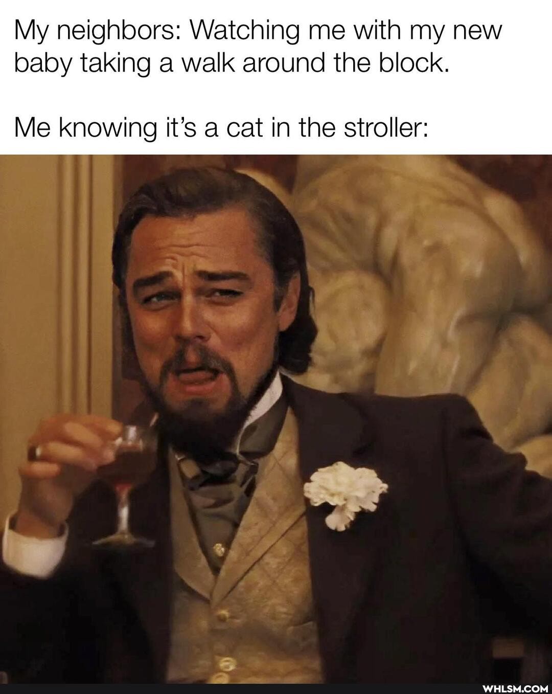 My neighbors: Watching me with my new baby taking a walk around the block.
Me knowing it's a cat in the stroller: