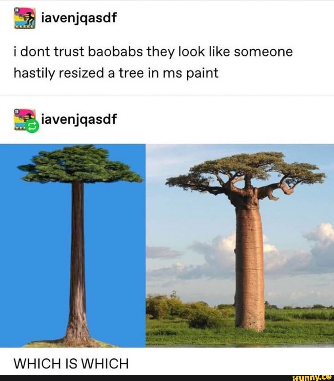 i dont trust baobabs they look like someone
hastily resized a tree in ms paint
So iavenjqasdf