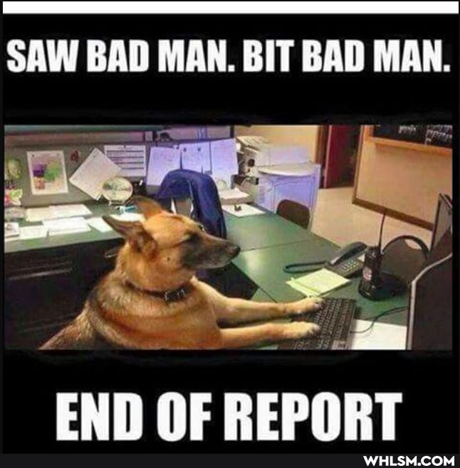 SAW BAD MAN. BIT BAD MAN.
END OF REPORT