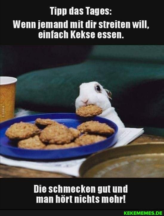 Tipp das Tages:
Wenn jemand mit dir streiten will, einfach Kekse essen.
Die schmecken gut und man hört nichts mehr!