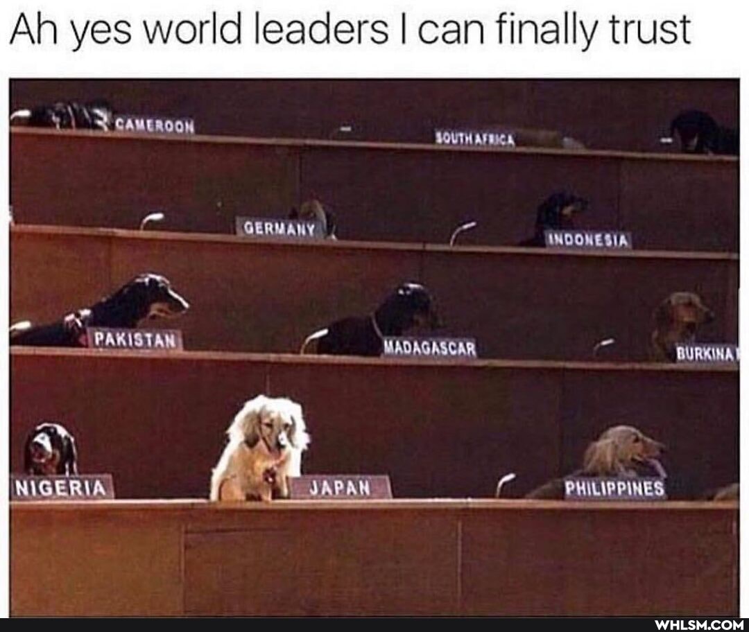 Ah yes world leaders I can finally trust
\ AMEROON SOUTH AFRICA
lo
GERMANY INDONESIA
MADAGASCAR
PHILIPPINES