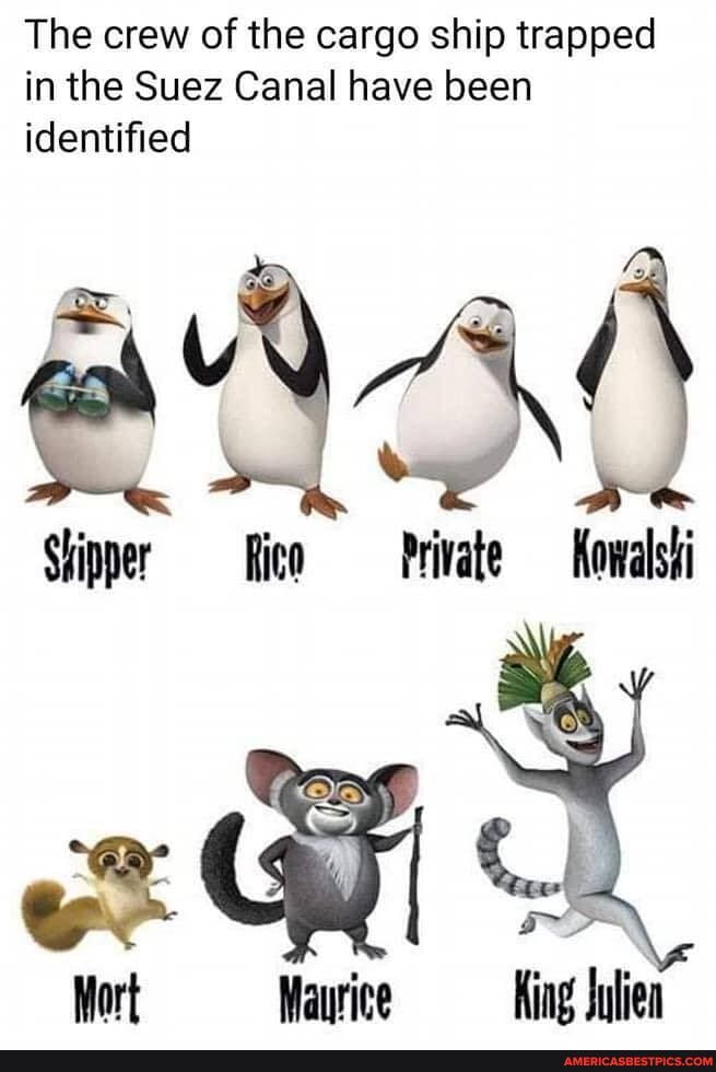 The crew of the cargo ship trapped in the Suez Canal have been identified
Shipper Rico Private Kowalshi
Mort Wayrice -'King Julien