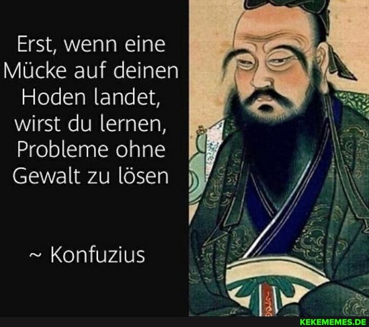 Erst, wenn eine
Mücke auf deinen
Hoden landet, wirst du lernen,
Probleme ohne
Gewalt zu lösen
" Konfuzius