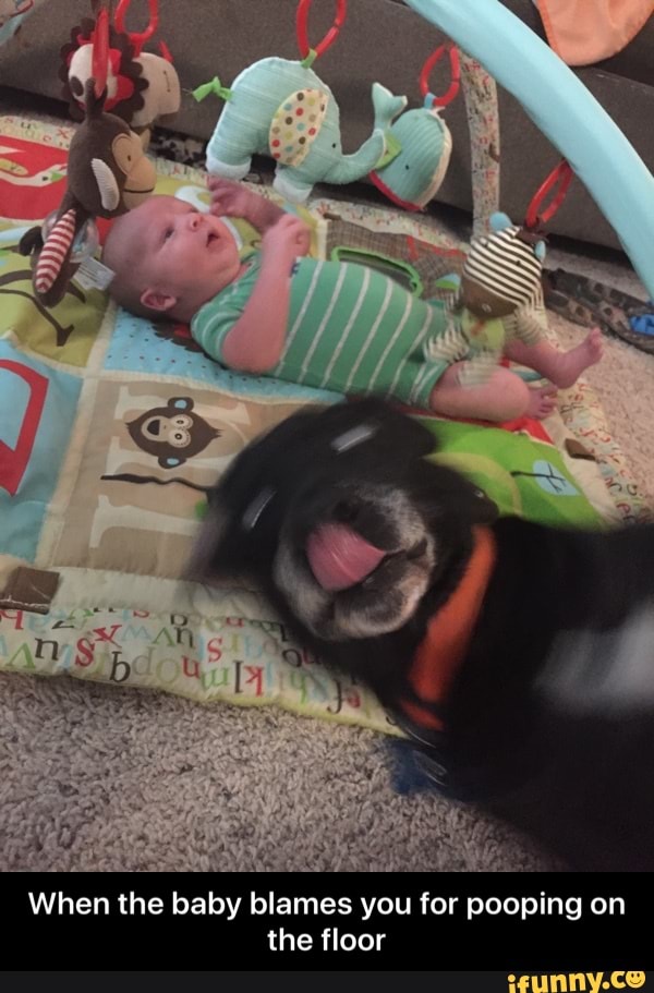 When the baby blames you for pooping on the floor )
