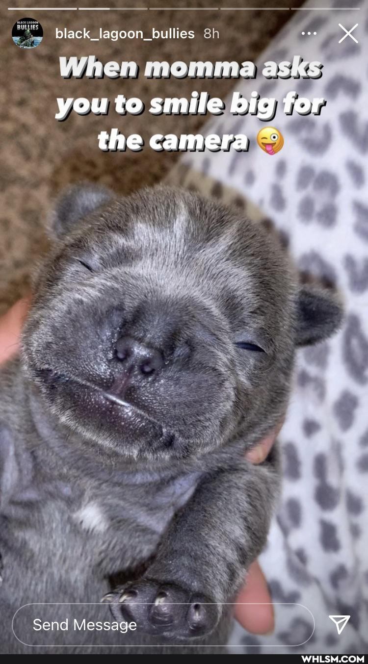 black_lagoon_bullies tee
When momma you to smile big for the camera
Send Message