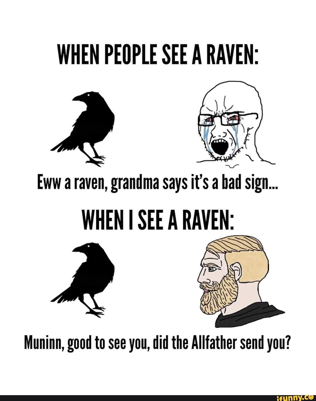 WHEN PEOPLE SEE A RAVEN: XX Eww raven, grandma says it's a bad Sign......