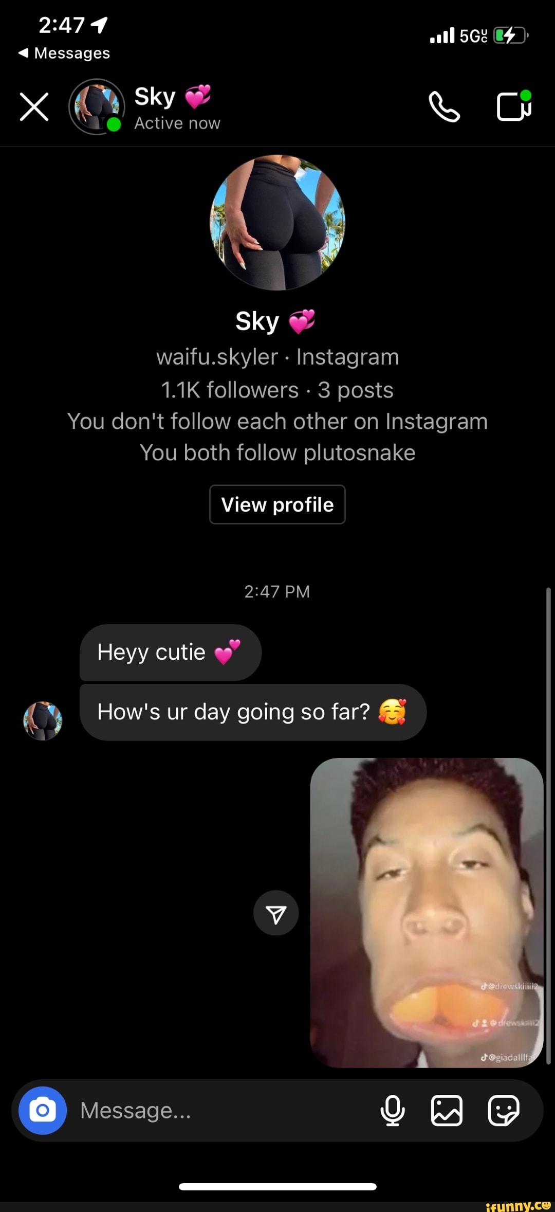 Ooll Messages Sky 1@ Active now %S Sky waifu.skyler - Instagram 1.1K ...