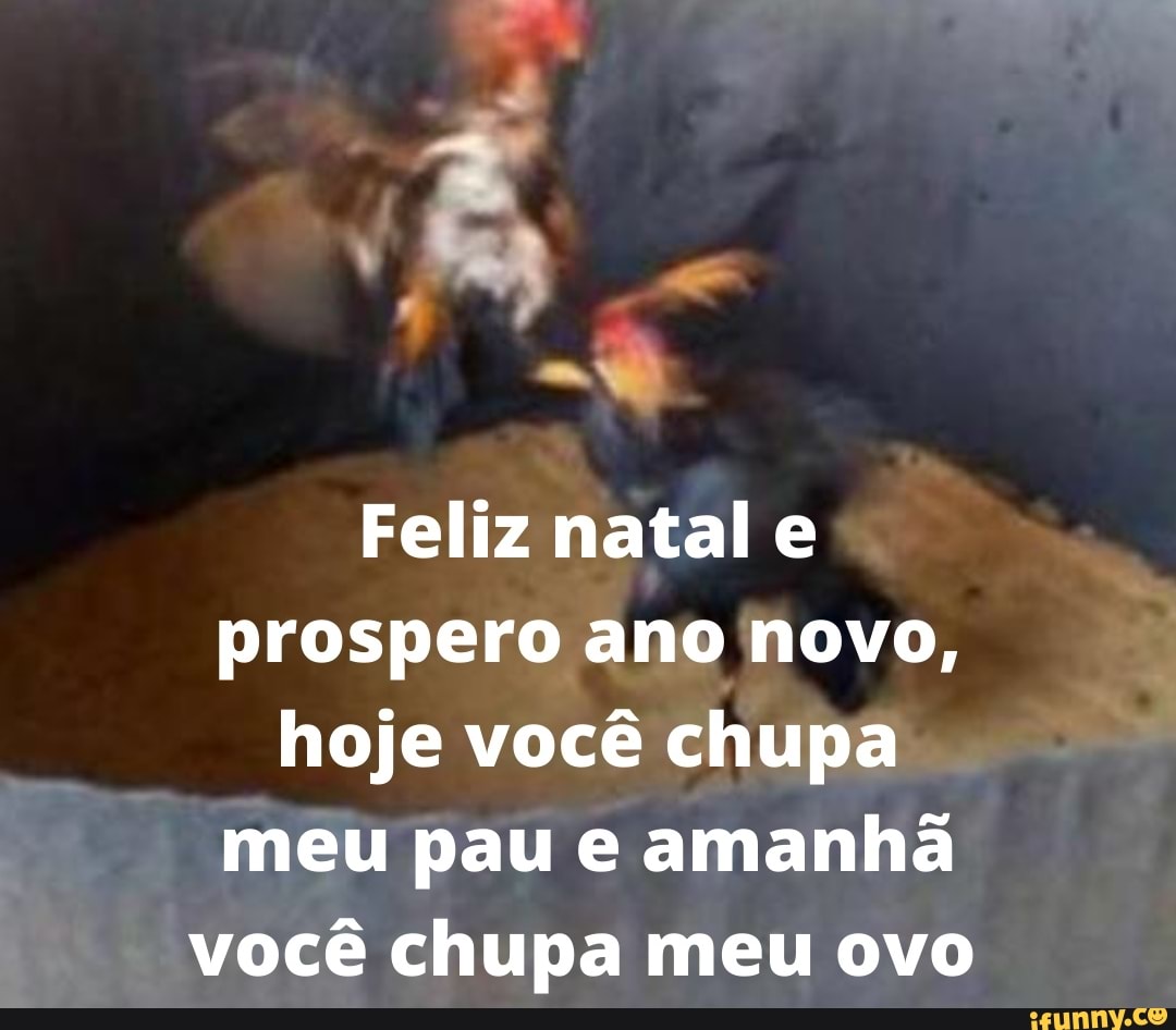 Feliz natal Prospero ano novo, hoje você chupa meu pau e amanhã você chupa  meu ovo - iFunny Brazil