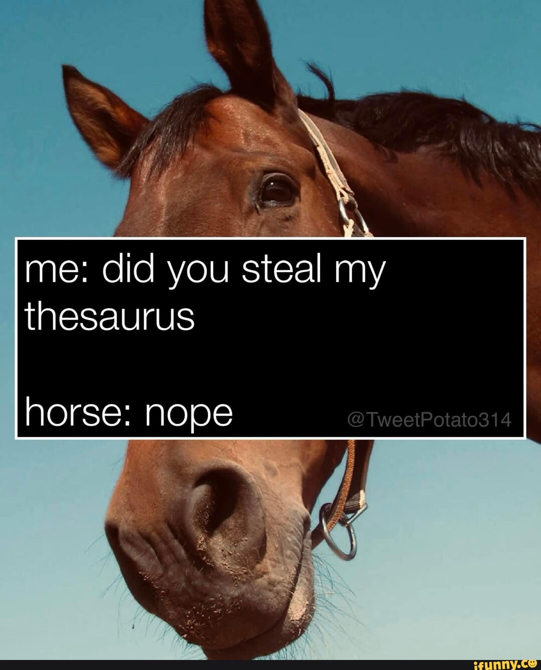 Armed robber wore 'Minecraft' costume, police say dlvr.it/P8PNDX porko