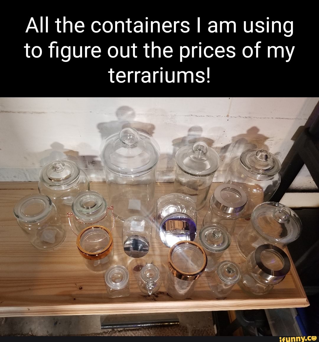 Terrariums memes. Best Collection of funny Terrariums pictures on iFunny
