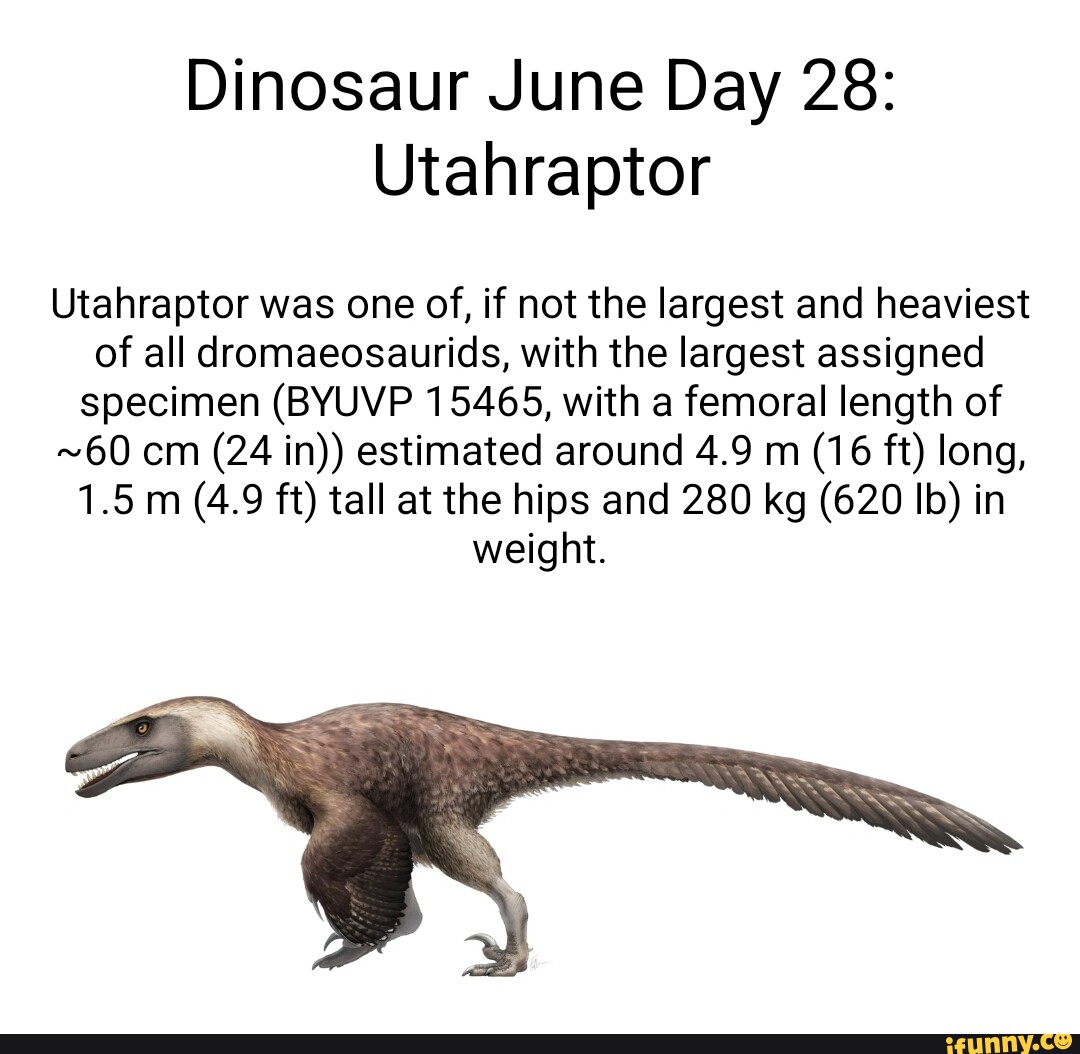 utahraptor size comparison