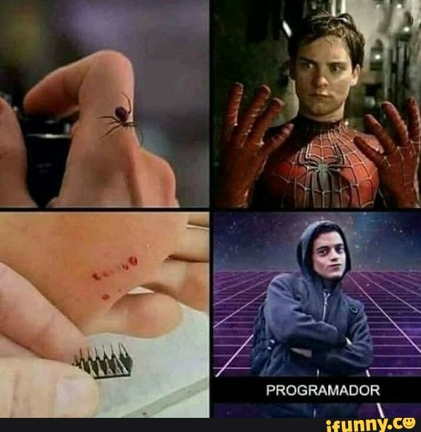 PROGRAMADOR