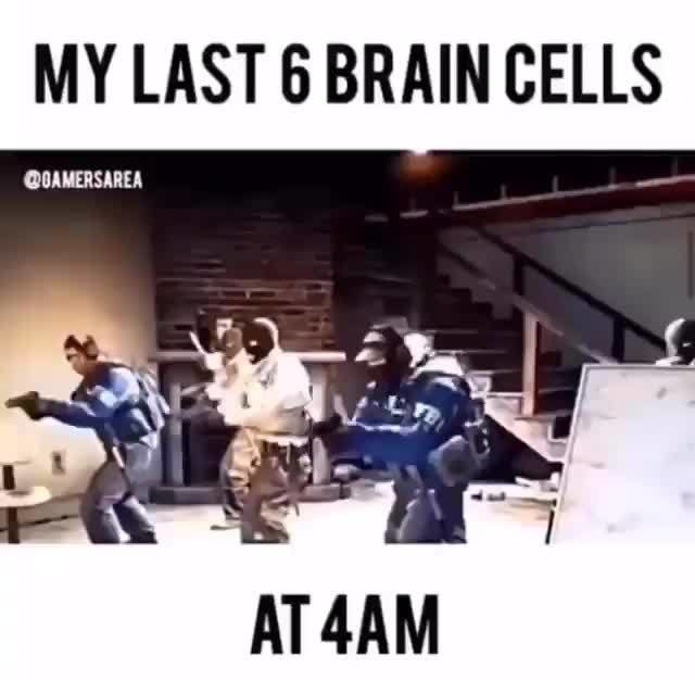 My Last B Brain Cells Ifunny