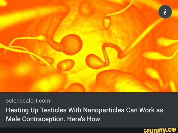 Sciencealert com Heating Up Testicles With Nanoparticles Can Work as