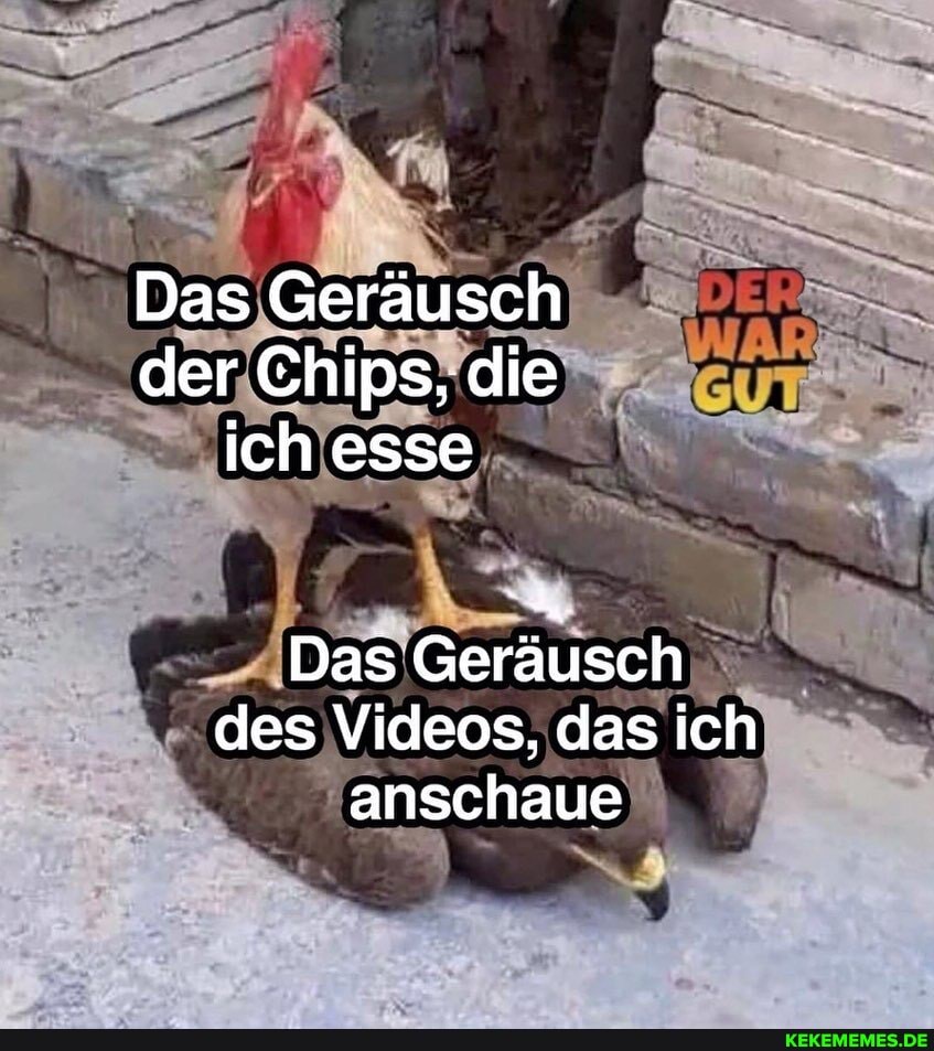 Das Geräusch der Chips, die ich esse
Das Geräusch des Videos, das ich anschaue