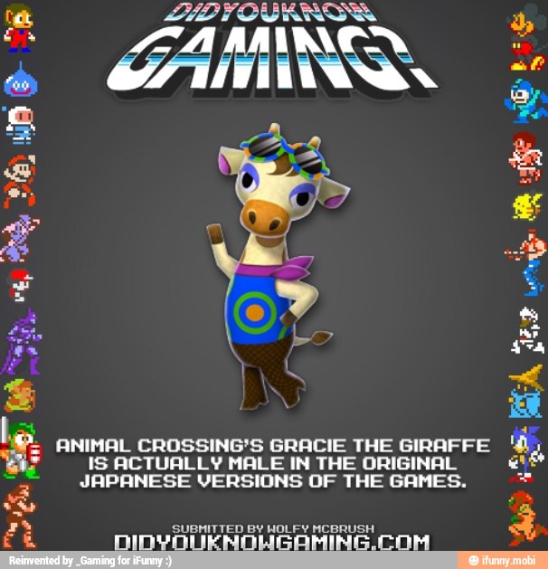 ANIMAL CROSSING'S GRACIE THE GIRAFFE 'él
PA
IS ACTUALLY MALE IN THE ORIGINAL ett
3
JAPANESE VERSIONS OF THE GAMES. E
Fa SUBMITTED BY HOLFY MCBRUSH
A