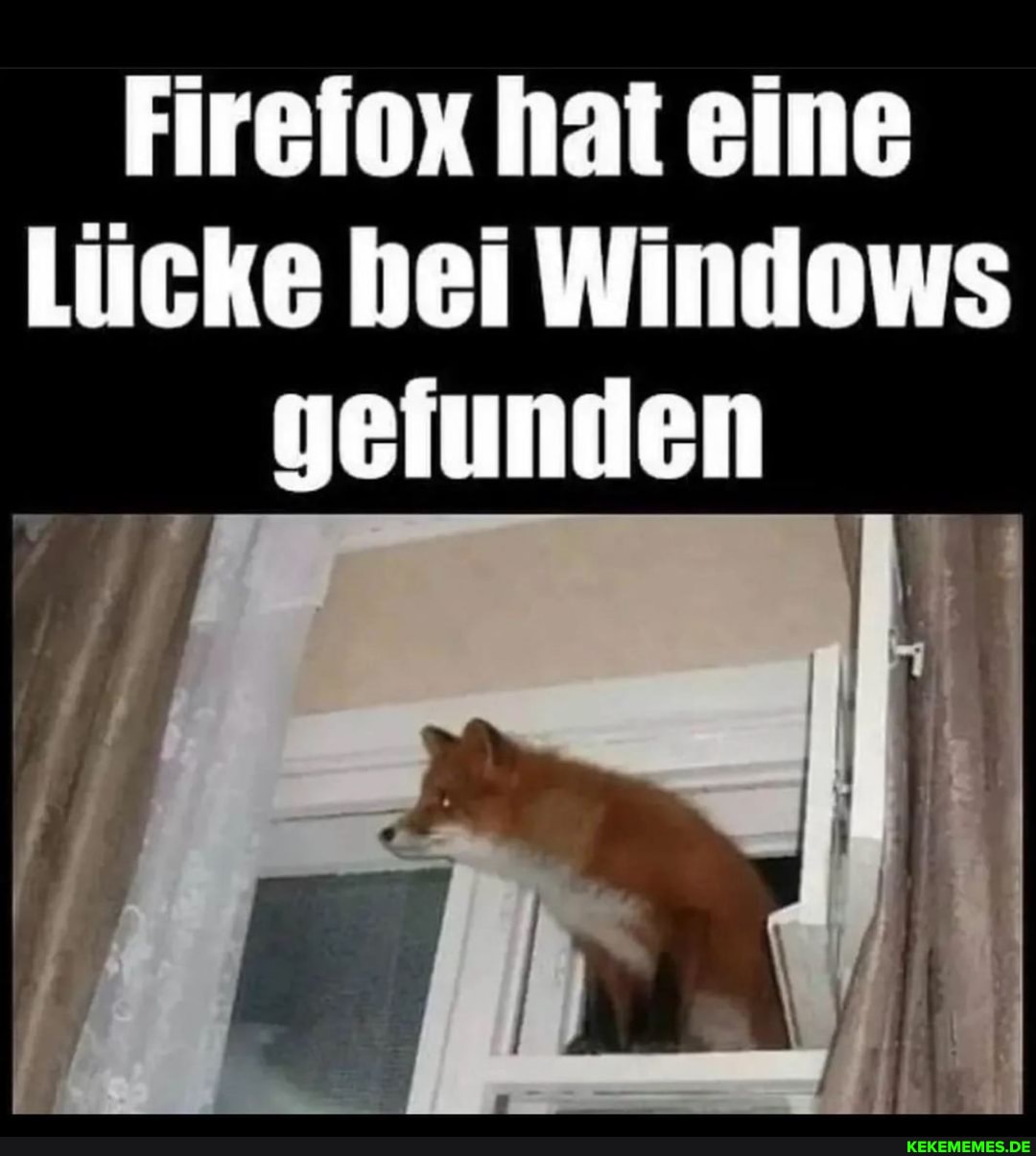 Fireiox hat eeine Lücke hei Windows geiunden