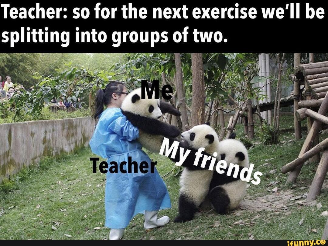 Teacher: so for the next exercise we'll be splitting into groups of two.
My frien ds