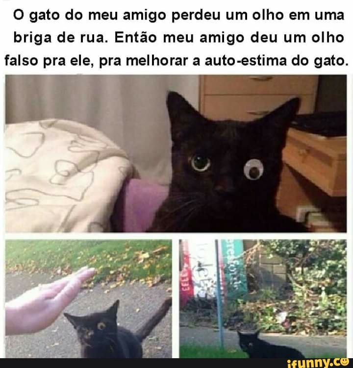 O gato do meu amigo perdeu um olho em uma briga de rua. Então meu amigo deu um olho falso pra ele, pra melhorar a auto-estima do gato.