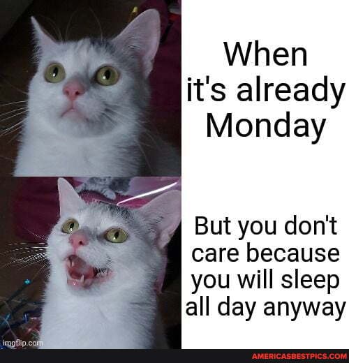 When it's already
Monday
But you don't care because you will sleep all day anyway