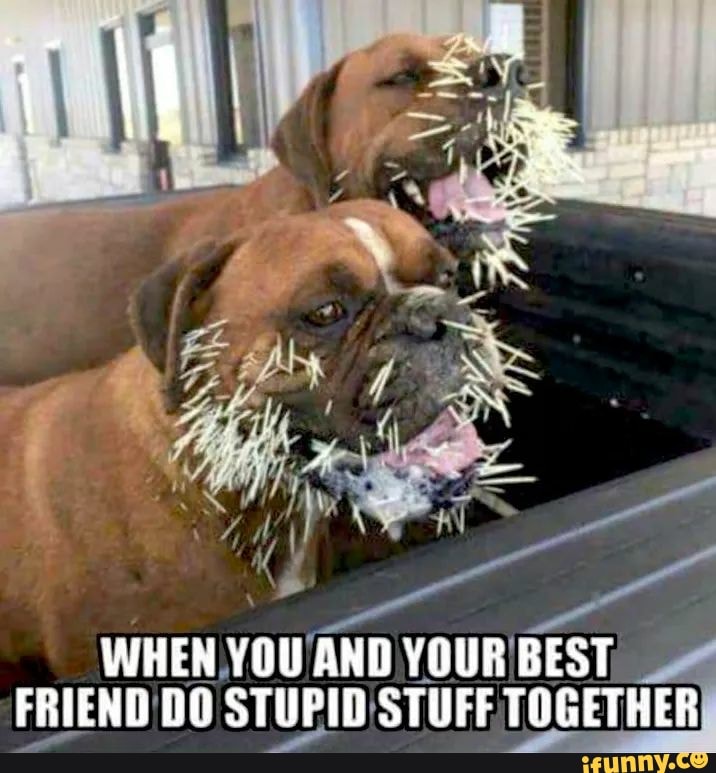 WHEN
you AND YOUR BEST 2
FRIEND'DO STUPID! 'STUFF TOGETHER