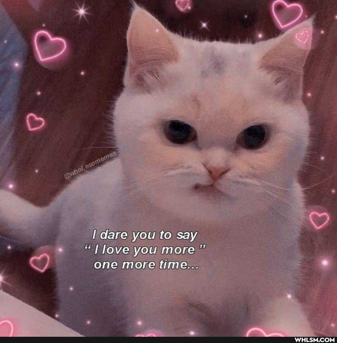 dare you to say love you more
One more time:..