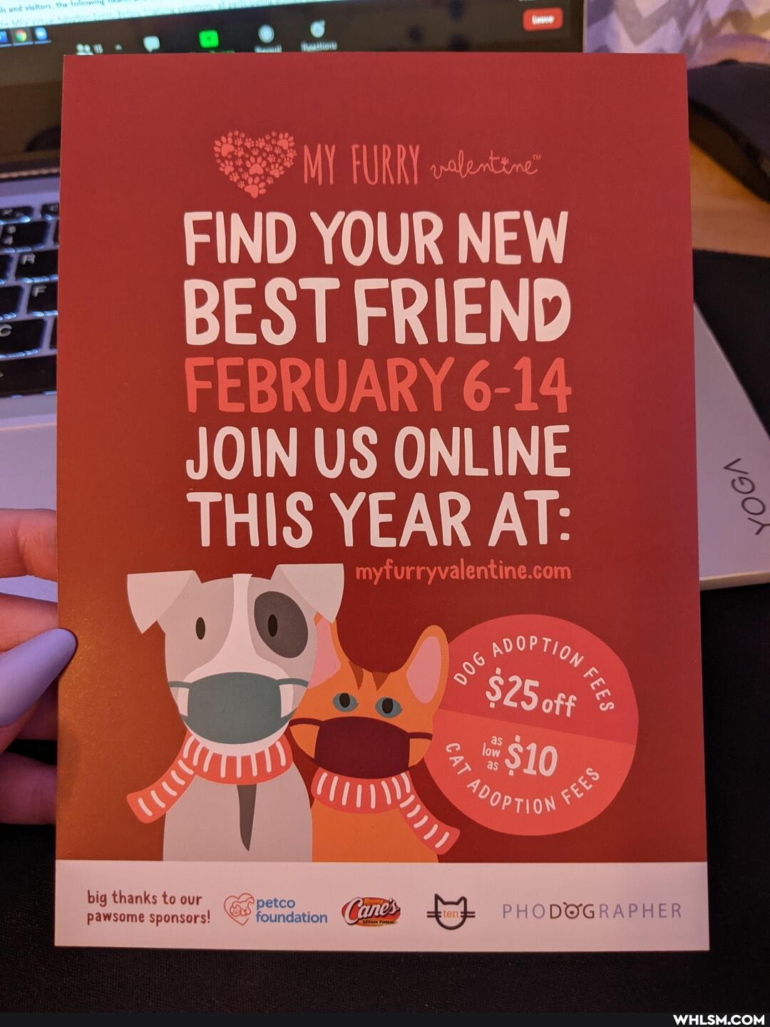 FIND YOUR NEW BEST FRIEND
JOIN US ONLINE
THIS YEAR AT:
OPT
10
PHODWERAPHER
