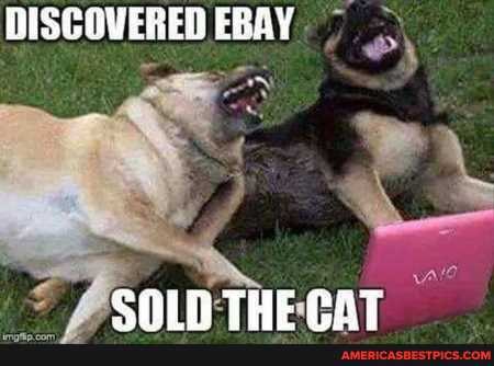 DISCOVERED EBAY
THE PAT