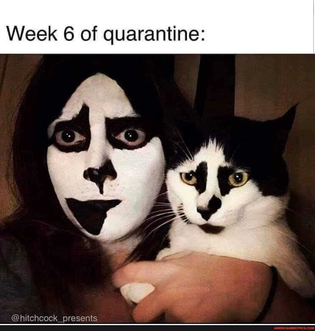 Week 6 of quarantine:
@hitchcock_presents