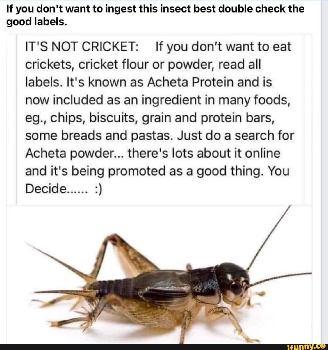 If you don't want to ingest this insect best double check the good ...