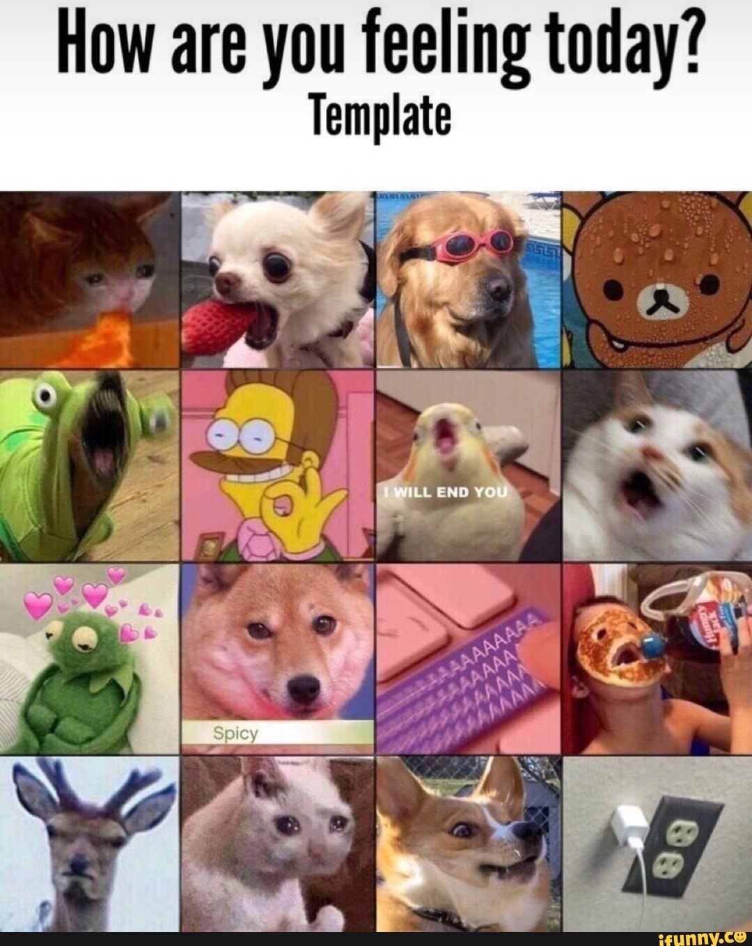 How Are You Feeling Today Template Ifunny