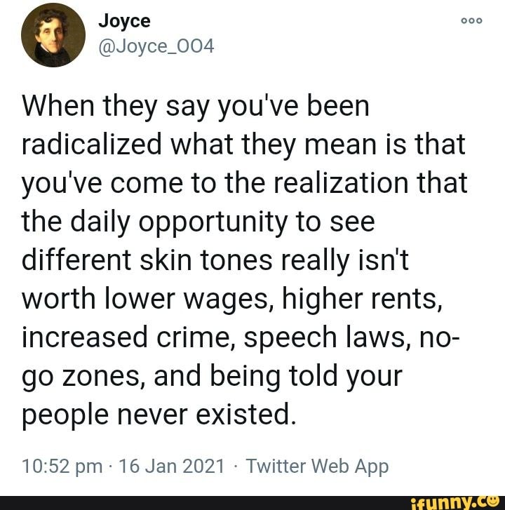 joyce-joyce-004-when-they-say-you-ve-been-radicalized-what-they-mean