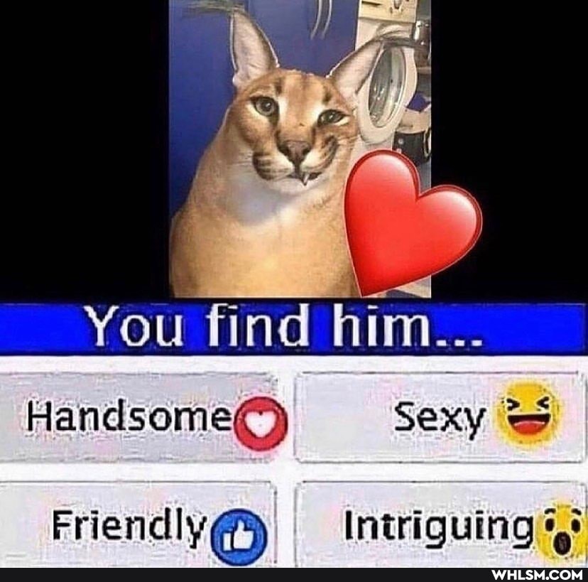 You find him...
Handsome@) Sexy
Friend\ Intriguing