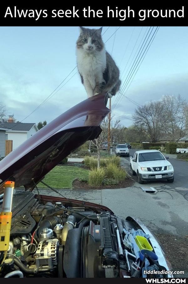 Always seek the high ground