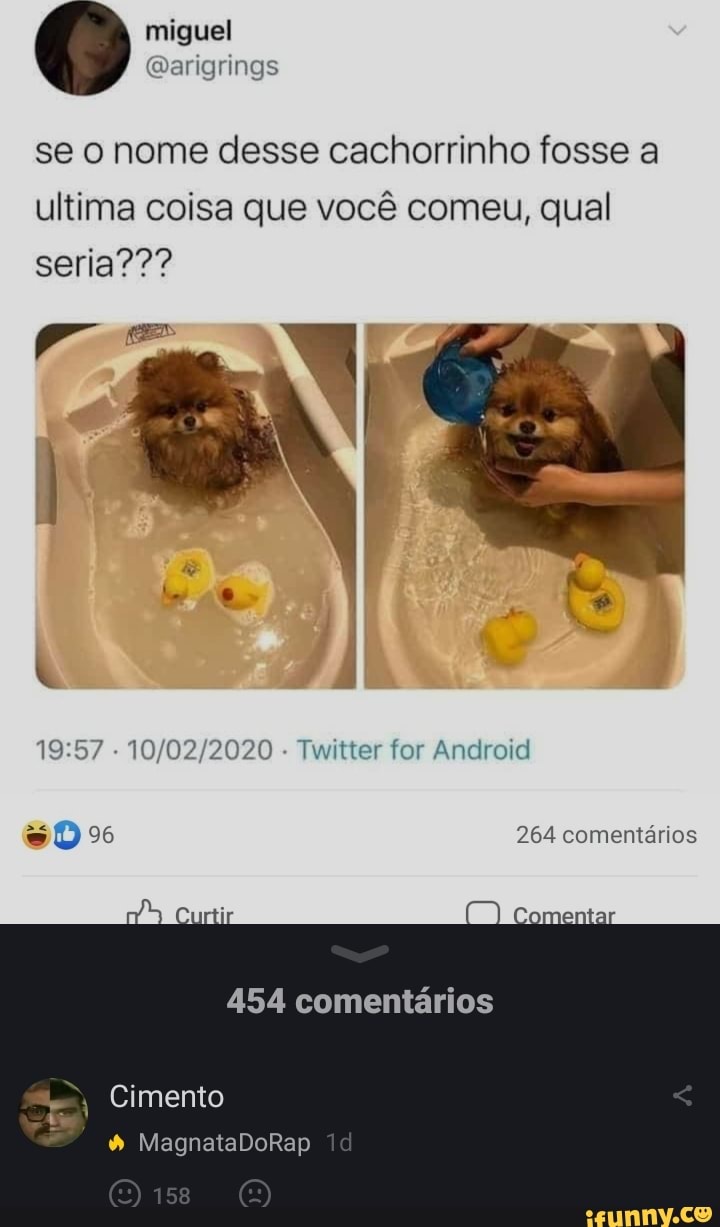 se o nome desse cachorrinho fosse a
ultima coisa que você comeu, qual
454 comentários