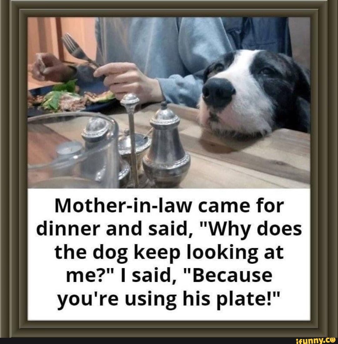 Motherinlaw came for dinner and said, "Why does the dog keep looking