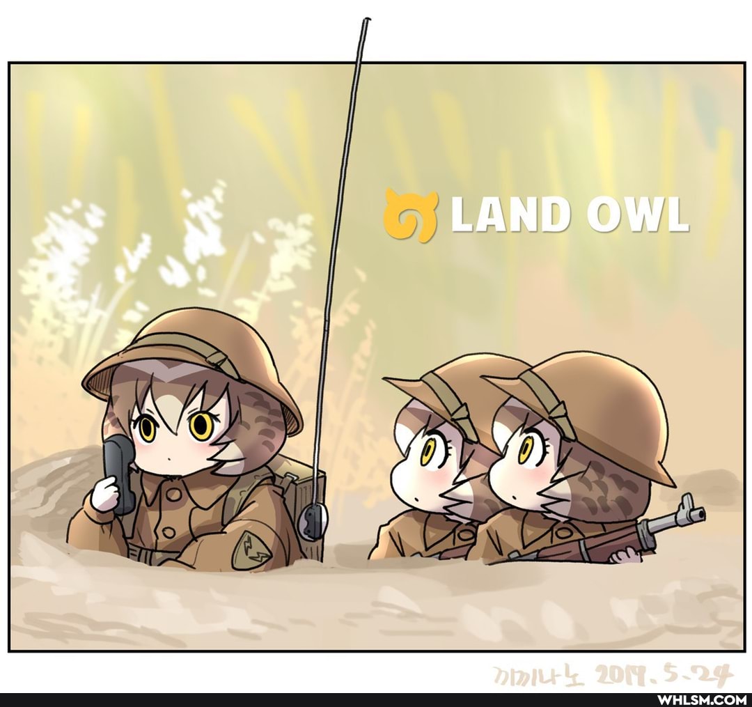 LAND OWL
AA