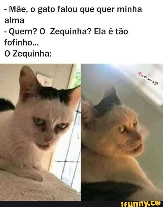 - Mãe, o gato falou que quer minha alma
- Quem? O Zequinha? Ela é tão fofinho...
Zequinha: