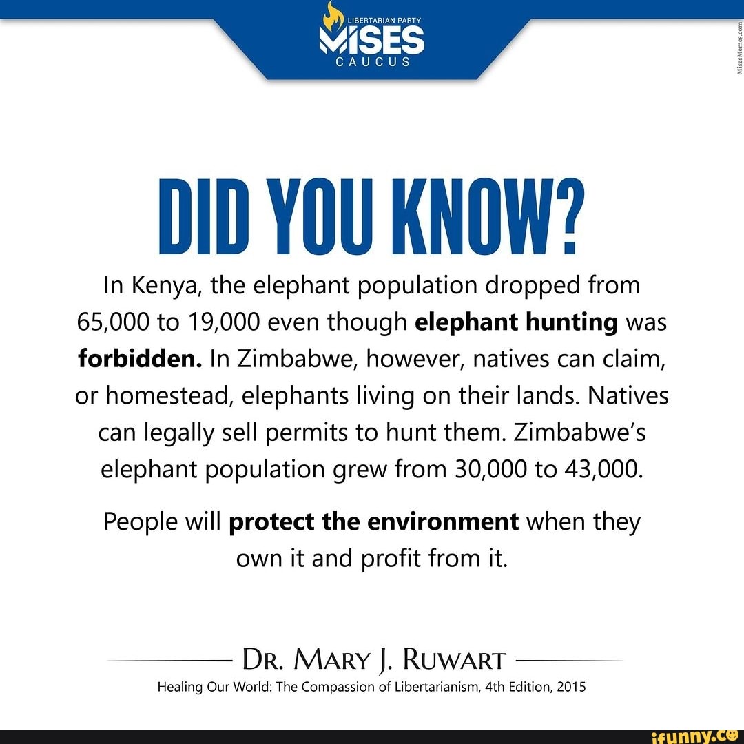 DID YOU KNOW? In Kenya, the elephant population dropped from 65,000 to