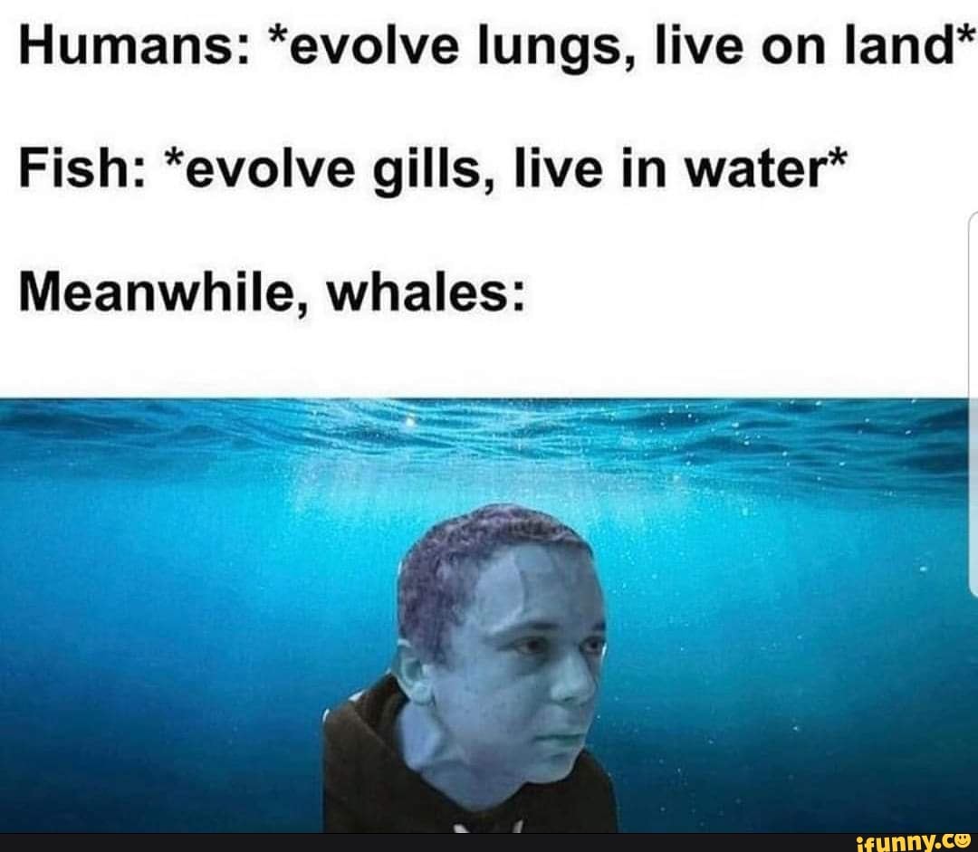 humans with gills