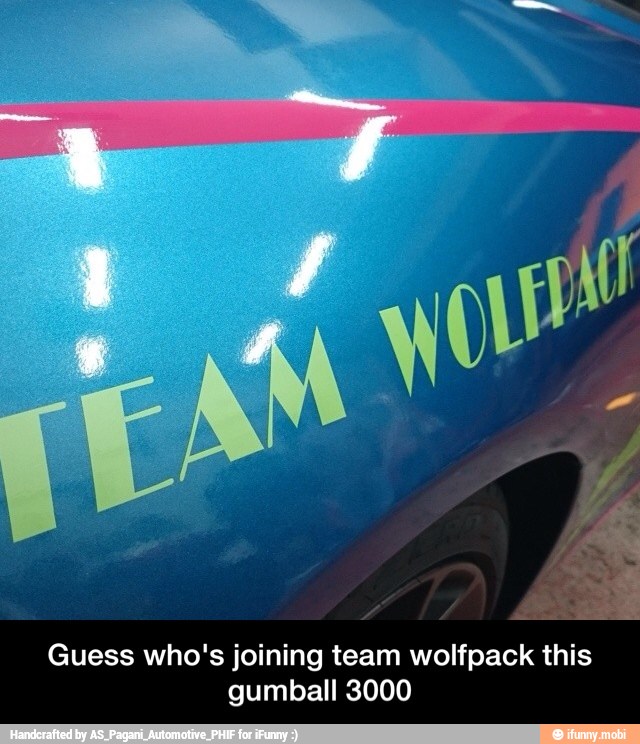 Guess who's joining team wolfpack this
gumball 3000 - Guess who's joining team wolfpack this gumball 3000