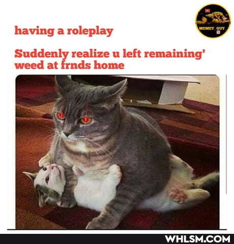 having a roleplay SS
Suddenly realize u left remaining' weed at frnds home