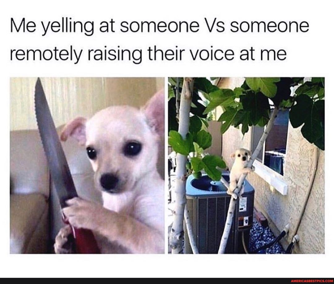 Me yelling at someone Vs someone remotely raising their voice at me