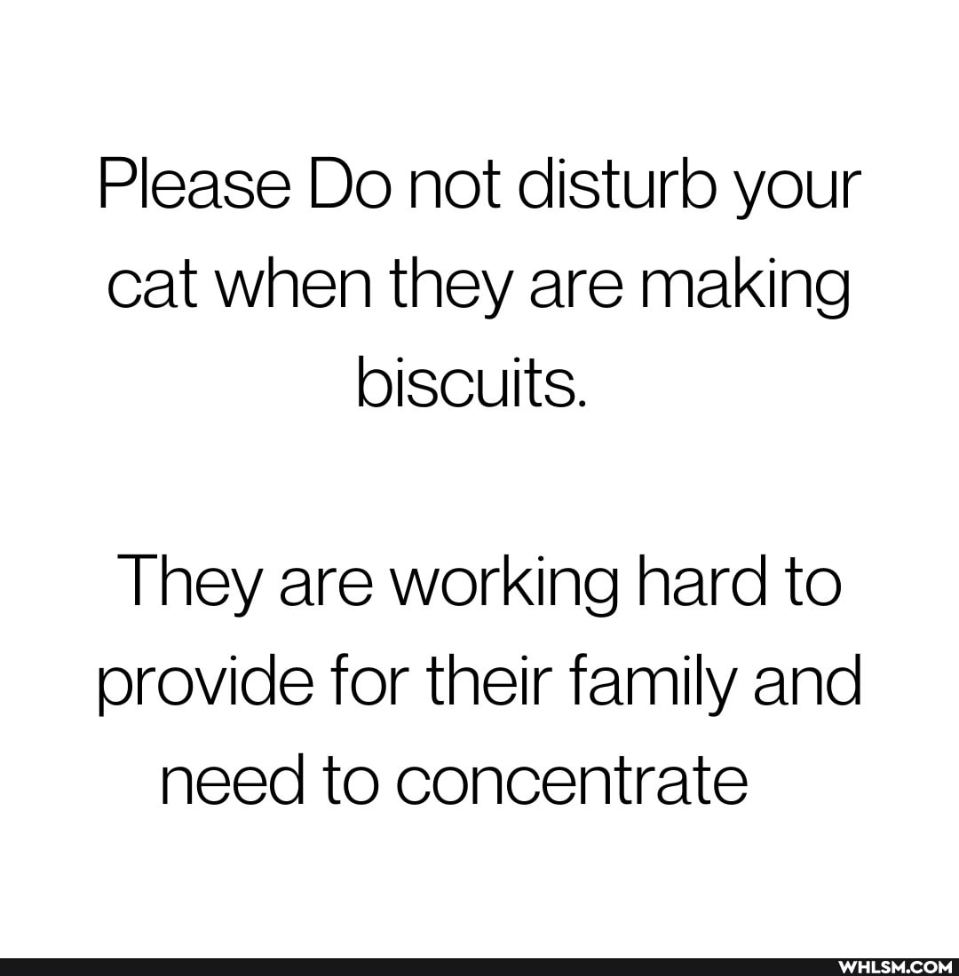 Please Do not disturb your cat when they are making biscuits.
They are working hard to orovide for their family and need to concentrate