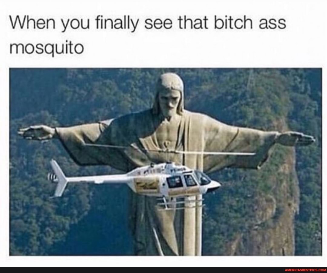 When you finally see that bitch ass mosquito
Ne