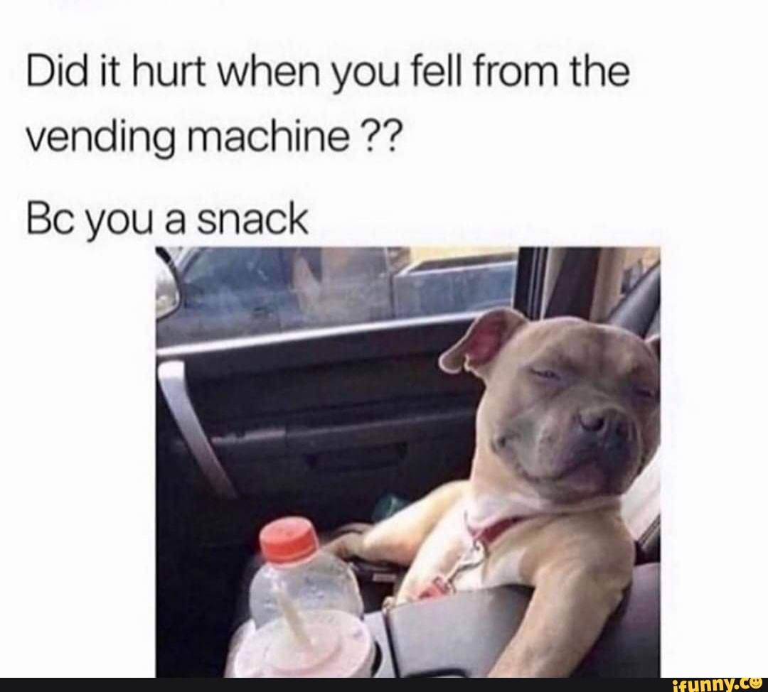 Did it hurt when you fell from the vending machine Be you a snack - iFunny