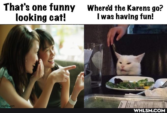 That's one funny Whered the Karens go?
looking cat! Iwas having fun!
